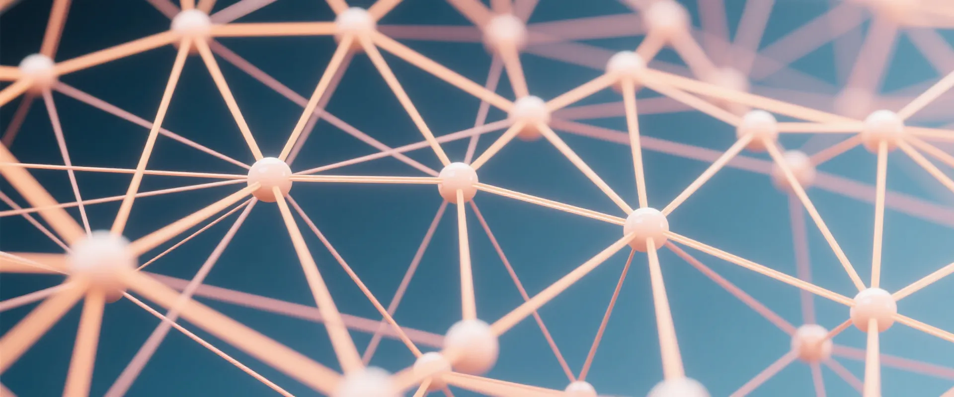 Network Connectivity